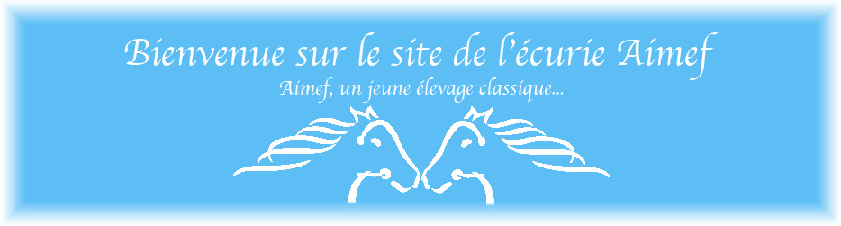 bienvenue sur le site de l'écurie aimef